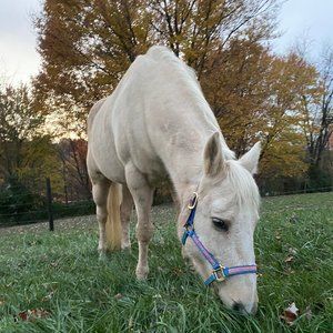 Meet your Posher, Emilie